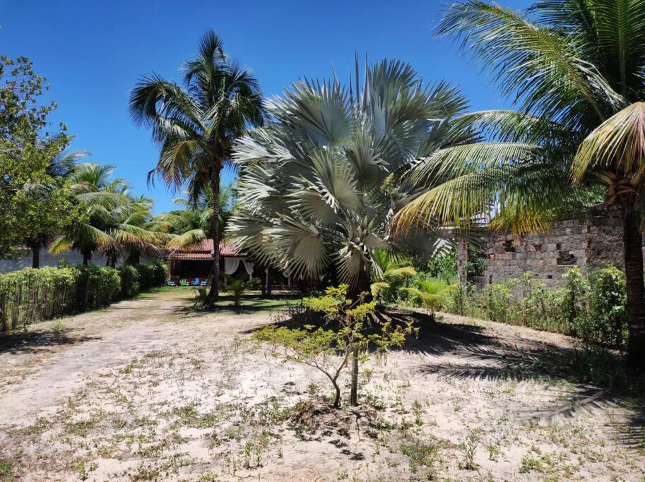 Casa Cumuruxatiba, Natureza E Charme Bagian luar foto